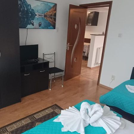 Charter Apartments Costea Сібіу Екстер'єр фото