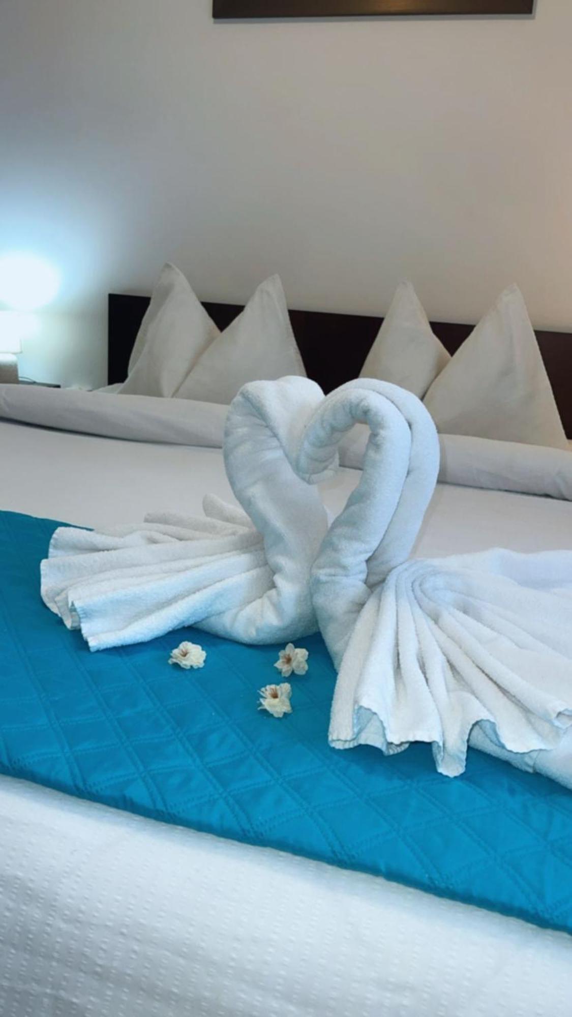 Charter Apartments Costea Сібіу Екстер'єр фото